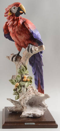 Birds Macaw - Boxed