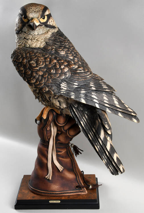 Birds The Falconer - Boxed