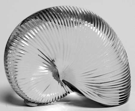 Baccarat Crystal Figurines Nautilus-Clear - Boxed
