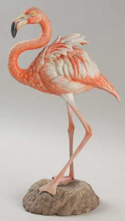 Wading Bird Series Flamingo - Boxed