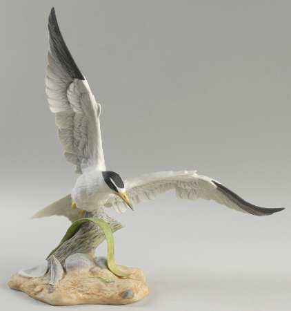Boehm Birds Least Tern - No Box