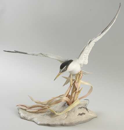 Boehm Birds Least Tern - No Box