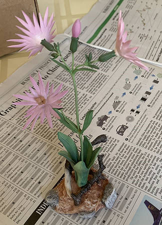 Flower Sculptures Ragged Robin - No Box