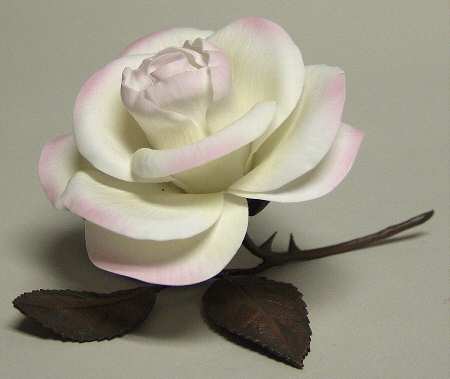 Romance of The Rose Peace Rose - No Box