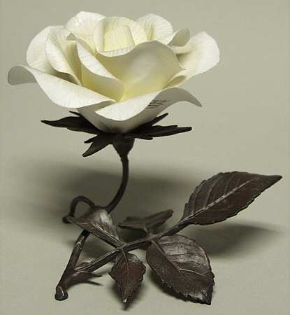 Roses of Distinction White Masterpiece Rose - No Box