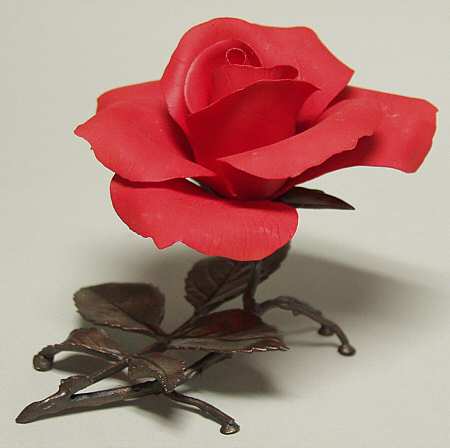 Roses of Distinction Mr Lincoln Rose - No Box