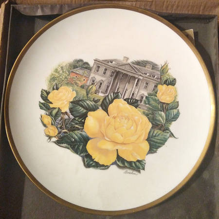 Tribute To Award Winning Roses Mountbatten - Boxed