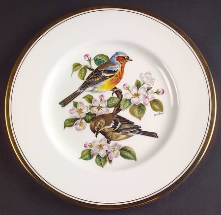 European Bird Chaffinch - No Box