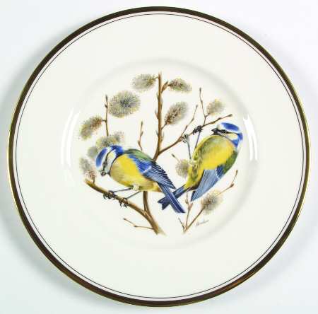 European Bird Blue Tit - Boxed