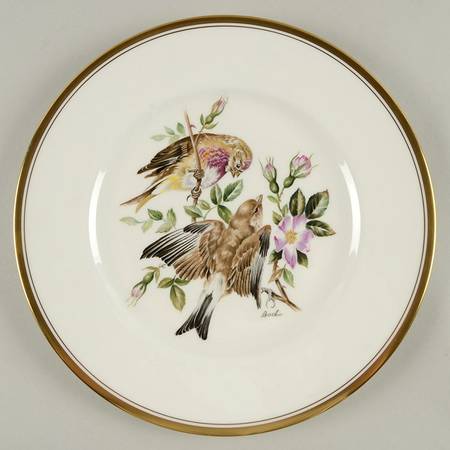 European Bird Linnet - Boxed