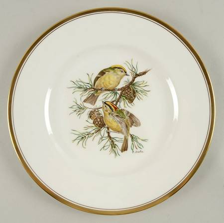 European Bird Goldcrest - Boxed