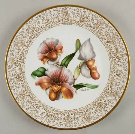Flowers of The World Boehm Orchid - Boxed