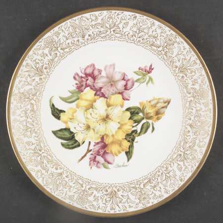 Flowers of The World Rhododendron - Boxed