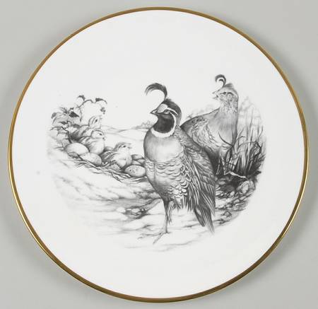 Gamebirds California Quail - Boxed