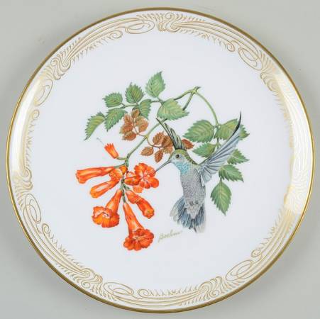 Hummingbird Blue-Throated - Boxed