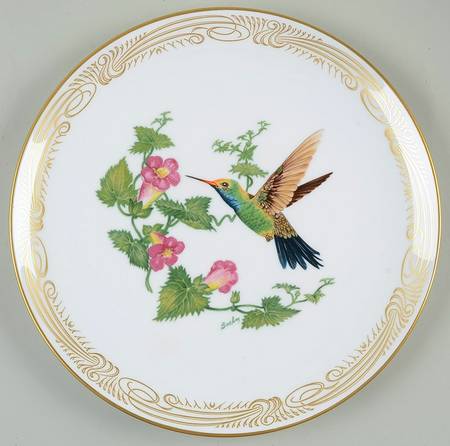 Hummingbird Broad-Billed - Boxed