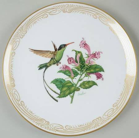 Hummingbird Streamer-Tailed - Boxed