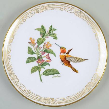 Hummingbird Rufous Flame Bearer - Boxed
