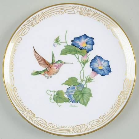 Hummingbird Calliope - With Box