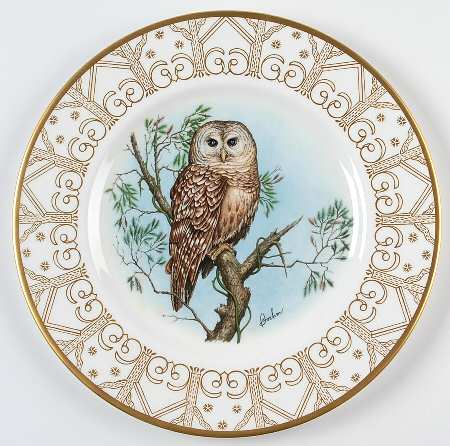 Owl Collection Northern Barred Owl - Boxed