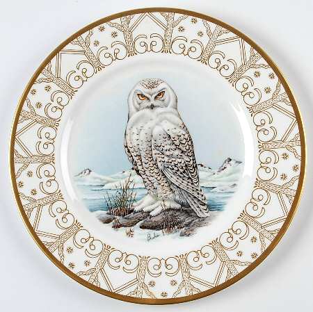 Owl Collection Snowy Owl - Boxed