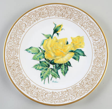 Award-Winning Roses The Elegance Rose - Boxed