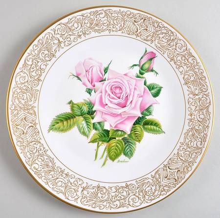 Award-Winning Roses The Royal Highness Rose - Boxed