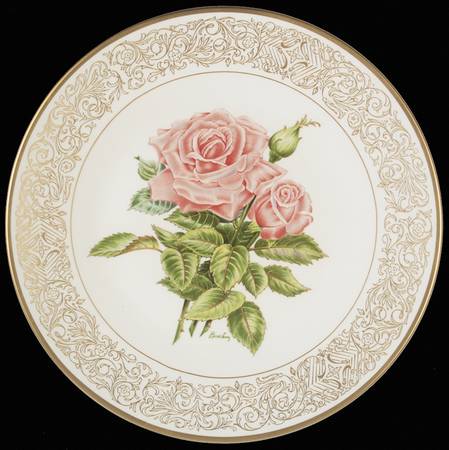 Award-Winning Roses The Queen Elizabeth Rose - Boxed