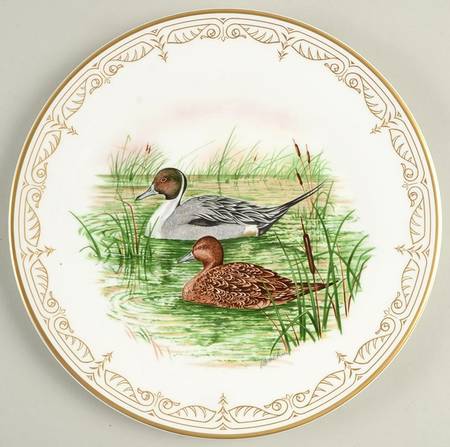 Water Birds of North America American Pintails - No Box