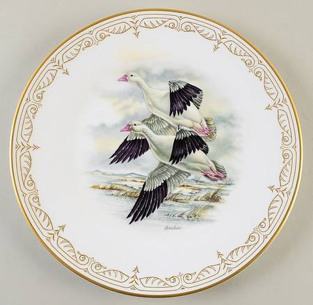 Water Birds of North America Ross Geese - No Box