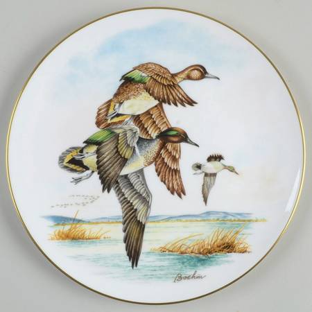 Water Birds of North America Green Winged Teal - Boxed
