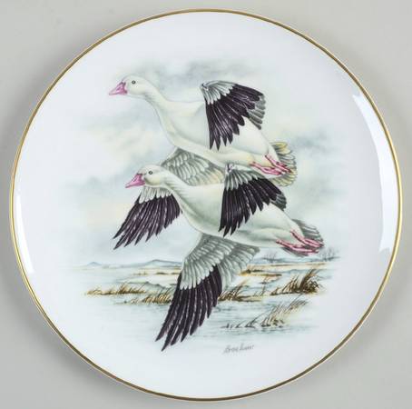 Water Birds of North America Ross Geese - Boxed