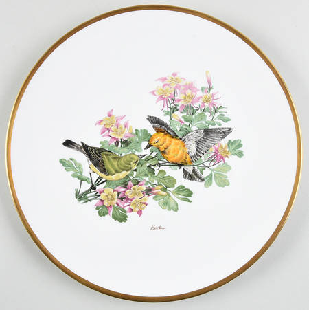 Woodland Birds of America Prothonotary Warbler - With Box