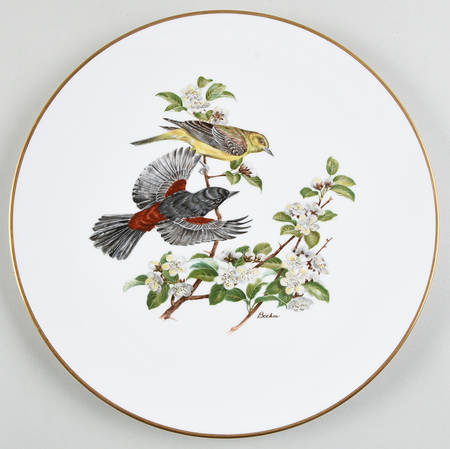 Woodland Birds of America Orchard Orioles - Boxed