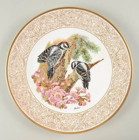 Woodland Birds of America Downy Woodpecker-Gold Border - With Box