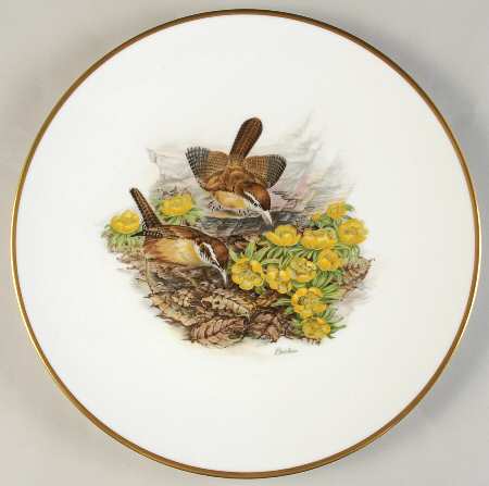 Woodland Birds of America Carolina Wrens - Boxed