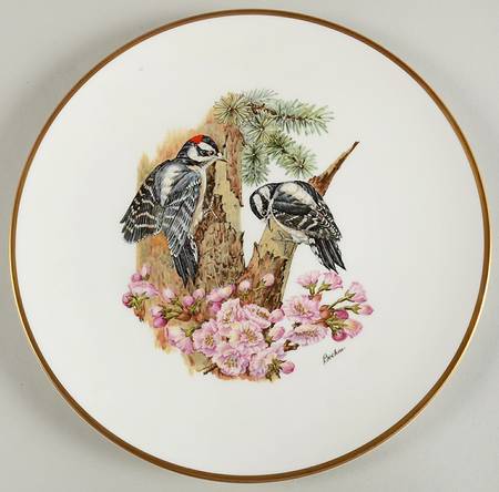 Woodland Birds of America Downy Woodpecker- - No Box