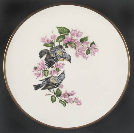 Woodland Birds of America Parula Warblers - Boxed