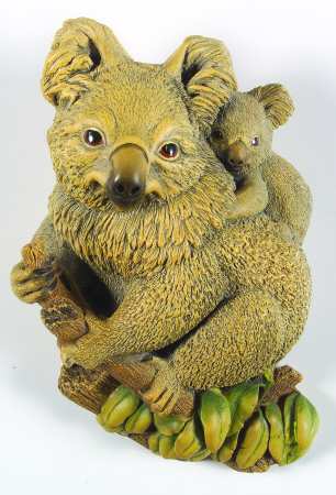 Wildlife Koalas - Boxed