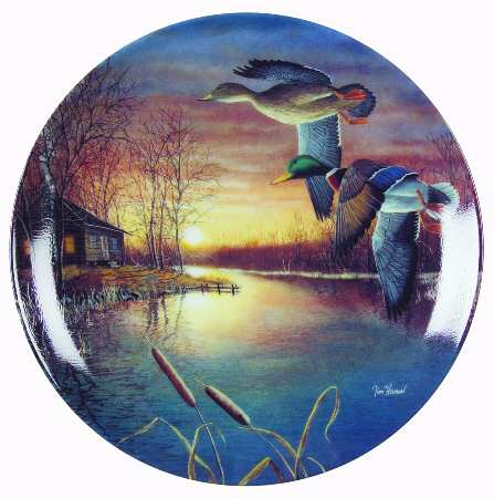 Woodland Wings Gliding On Gilded Skies - No Box