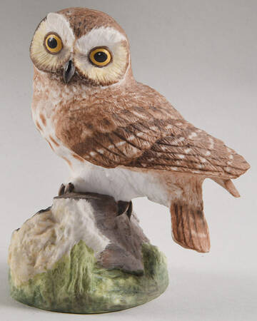 American Owl Collection Saw-Whet Owl - No Box