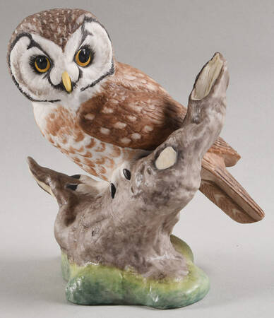 American Owl Collection Boreal Owl - Boxed
