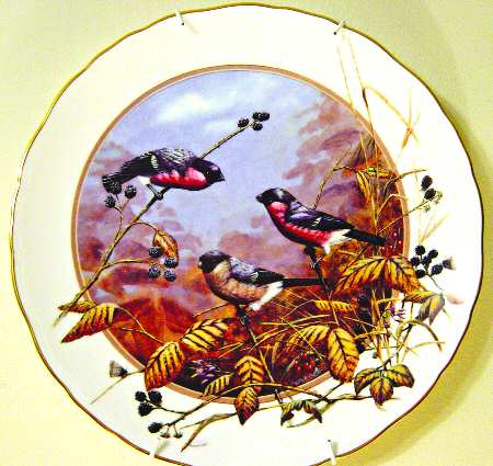 Seasons of the Hedgerow An Enchantment Of Bullfinches - No Box
