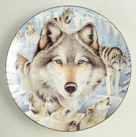 Window To the Soul Winter Watch - No Box