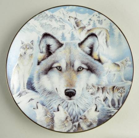 Window To the Soul Vision Of The Pack - No Box