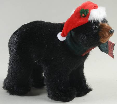 Animals Black Bear Walking - No Box