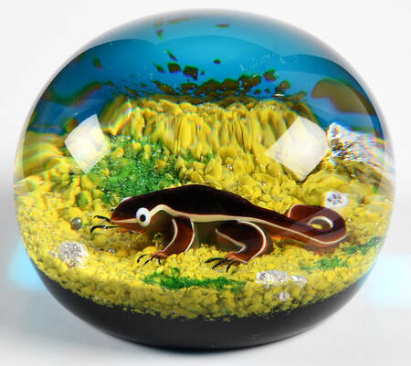 Limited Edition Dated Paperweight Salamander - Boxed