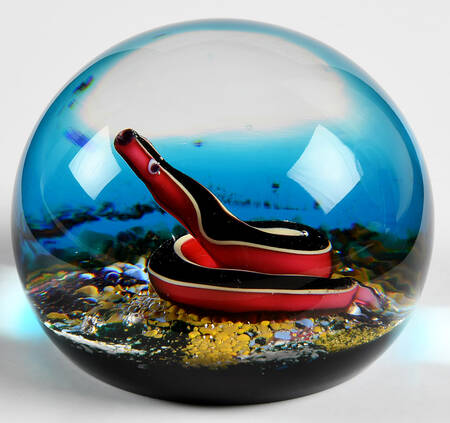 Limited Edition Dated Paperweight Black And Red Snake - Boxed