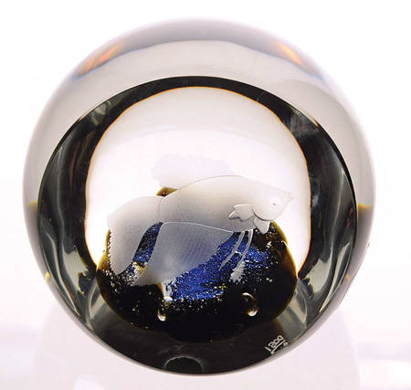 Caithness Paperweight Betta Fighting Fish - With Box-Bx556