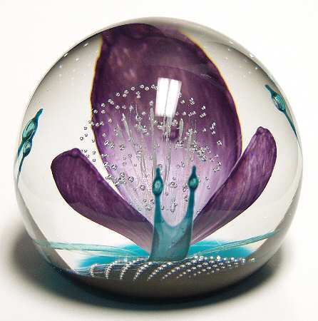 Caithness Paperweight Firework Orchid - Boxed